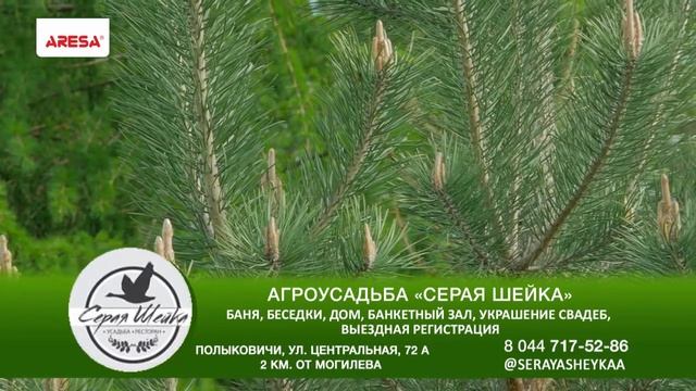 Готовь как шеф от 21.05.2021. Куриные бедра с грейпфрутово-розмариновым соусом смотреть онлайн