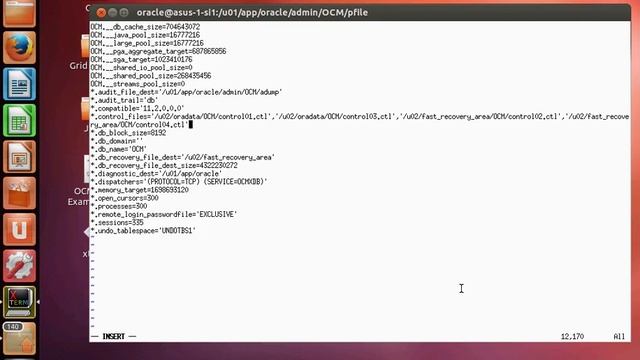 Oracle Multiplex Control Files смотреть онлайн