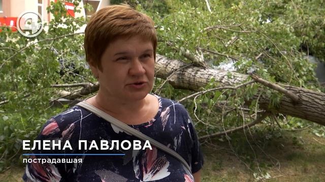 Упавшее дерево повредило 2 автомобиля смотреть онлайн