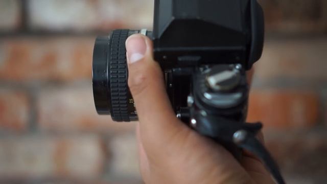 My Film Camera Collection!