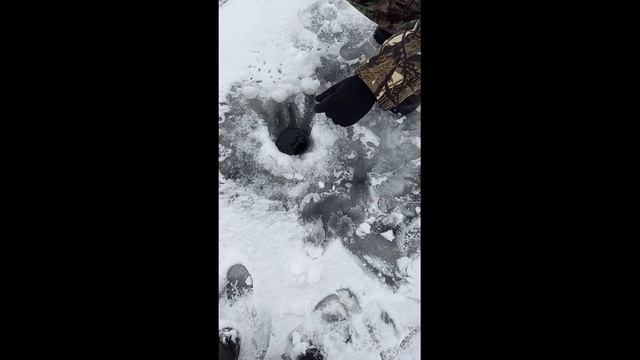 Рыбалка на озере Косоголь ужурский район 13.11.2021. #рыбалка смотреть онлайн