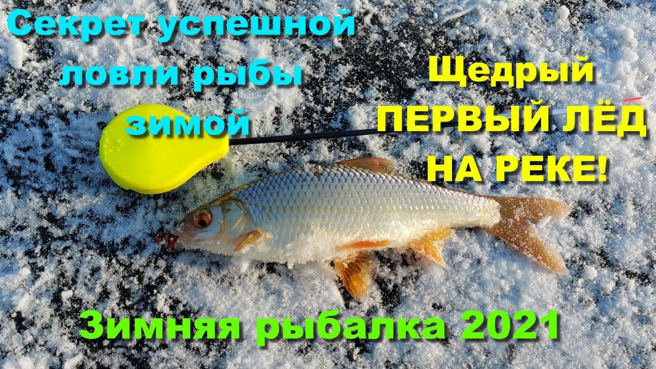 Щедрый ПЕРВЫЙ ЛЁД НА РЕКЕ! Зимняя рыбалка 2021. Секрет успешной ловли рыбы зимой смотреть онлайн