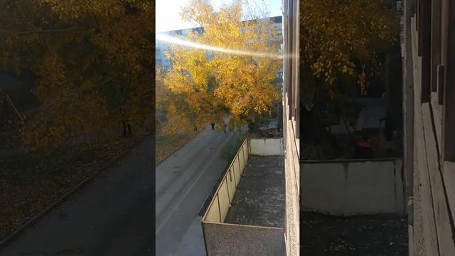 От чего плачут деревья смотреть онлайн