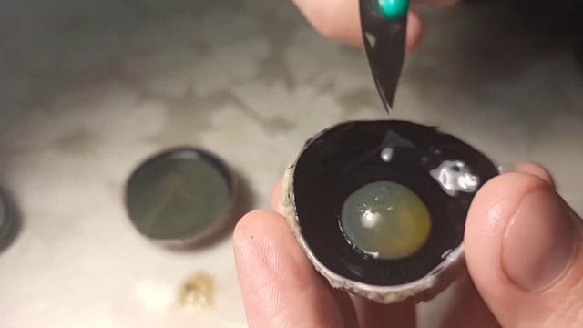Препарирование глаза крупного рогатого скота смотреть онлайн