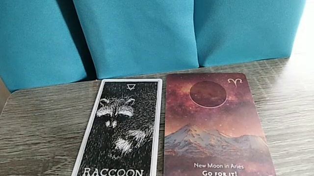 Oracle Animal Spirit vs Universe смотреть онлайн
