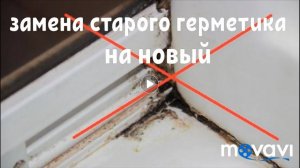 Как избавится от грибка в душевой кабине