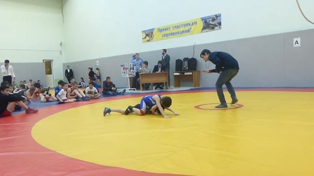 вольная борьба(мальчики 2004-2006г.р.) москва 20.02.2015 смотреть онлайн