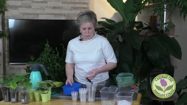 ГЛАВНЫЕ ПРАВИЛА ПОСАДКИ ПЕРЦА НА РАССАДУ! ВЫПОЛНИТЕ ИХ, И УРОЖАЙ ВАМ ОБЕСПЕЧЕН! смотреть онлайн