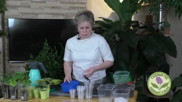 ГЛАВНЫЕ ПРАВИЛА ПОСАДКИ ПЕРЦА НА РАССАДУ! ВЫПОЛНИТЕ ИХ, И УРОЖАЙ ВАМ ОБЕСПЕЧЕН!