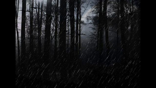 Шум лесного дождя для сна, ASMR, АСМР смотреть онлайн