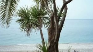 "Чегем" дом отдыха, г. Гагра.