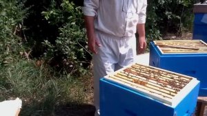 Фальцы на ульях ППУ