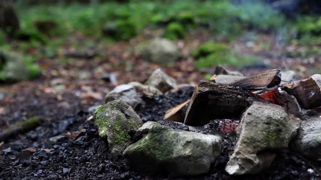 Территория базы отдыха "Пихтовый бор". Как разнообразить отдых. смотреть онлайн