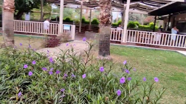 Lucida beach Kemer Турция октябрь 2021 смотреть онлайн