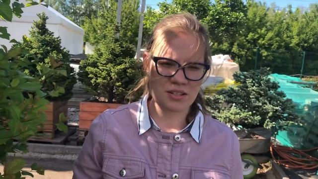 Рододендрон и азалия. смотреть онлайн