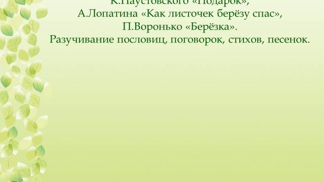 Группа №13 "Звёздочка" Проект "Березка русская" МДОУ "Детский сад № 44" смотреть онлайн