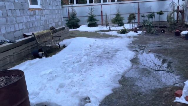 Моя любимая дача 12апреля 2022❤️Открытие сезона. Состояние растений после снежной зимы.