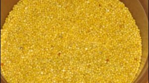 #65 Чем кормить кота? Еда для домашнего кота своими руками :) Домашний корм для кошек Еда для кота