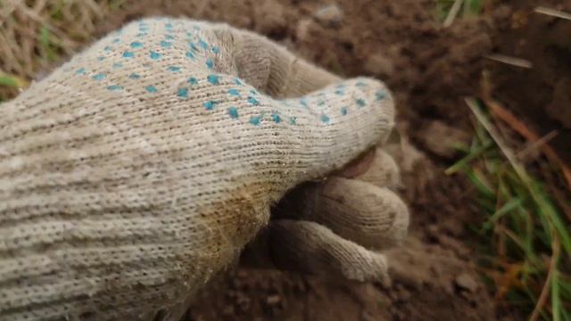 XP DEUS 2 + WS6. Программа 6. Серебряный ангел теперь мой! #xpdeus2 #коп2022 смотреть онлайн