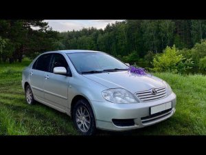 Toyota Corolla (e120) - управляй мечтой!