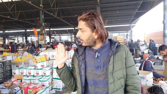 January 29, 2024 दिल्ली हिमाचल शिमला किन्नौर सेब के होलसेल भाव Himachal Apple market price delhi смотреть онлайн