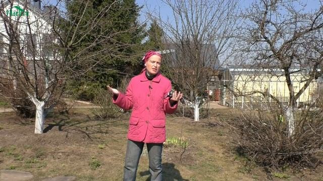 ? Сад без вредителей: возможно ли это? - 7 дач смотреть онлайн