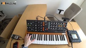 Синтезатор Behringer Poly D Обзор/Демонстрация/Распаковка/Overview/Demonstration/Unpacking/