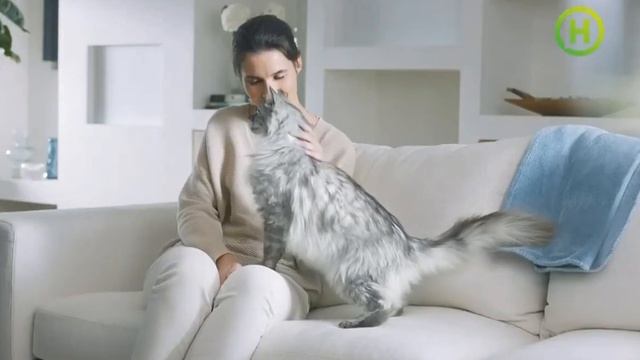 Реклама корма для стерилизованых котов Purina One (Новый канал, март 20230) смотреть онлайн