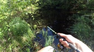 Способы ловли ротана на спиннинг - ЛОВЛЯ НА ВОБЛЕРЫ + немного ВЭКИ