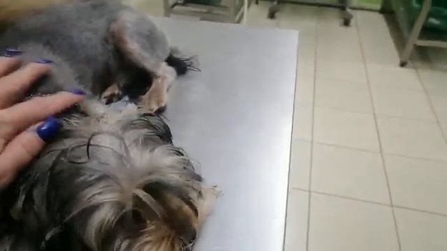 Тёма в клинике. смотреть онлайн