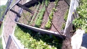 ВЫДЕЛКА ШКУРЫ МЕДВЕДЯ своими руками.