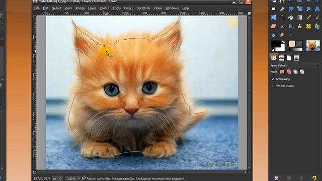 Gimp/Photoshop-Cut out an image with free select tool/lasso tool (of furry cute kitten) смотреть онлайн
