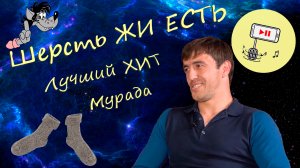 Мурад и такси - Шерсть жи есть!