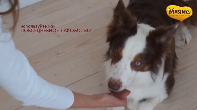 Мнямс "Стейки" - натуральное лакомство для взрослых собак всех пород смотреть онлайн