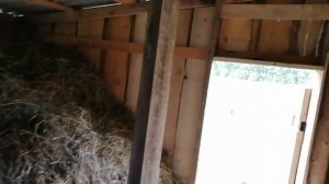 Сарай ч2 + обзор нового стоила для овец.