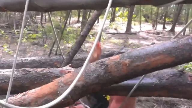 EATA ALL TERRAIN GAMES - PRE GAME TRIALS смотреть онлайн