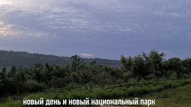 Танзания. Удивительное сафари по национальным паркам. смотреть онлайн