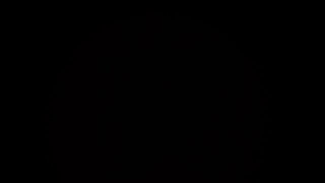 Р. Шуман. "Размышление" (на виолончельном режиме) (с аккомпанементом на клавесине) смотреть онлайн