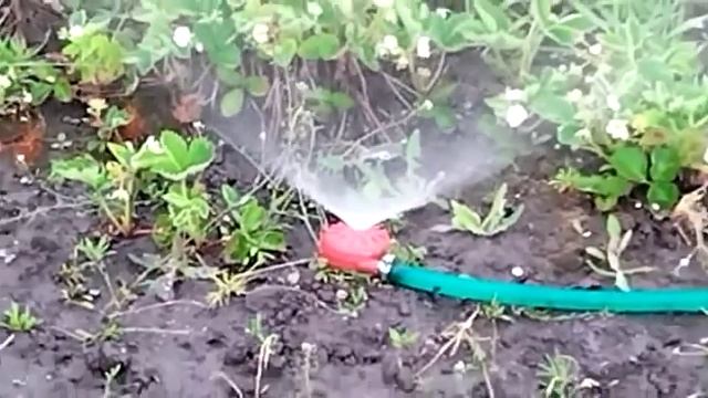 Круговой распылитель разбрызгиватель для полива Улитка 9см