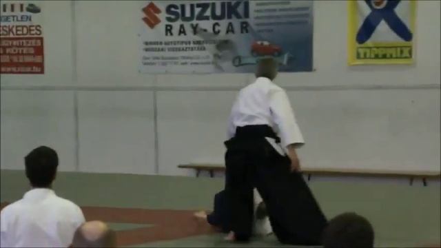 Aikido: Bruno Gonzalez (Budapest 2011). смотреть онлайн