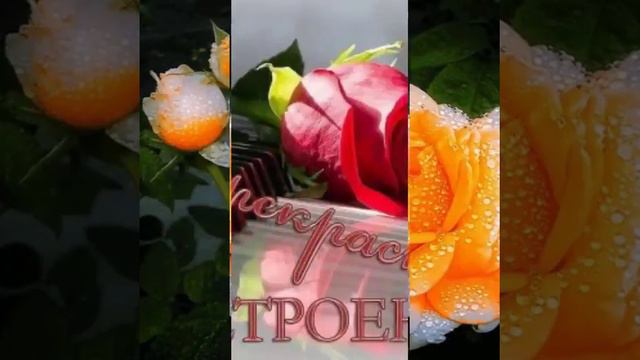 Осетинская песня смотреть онлайн