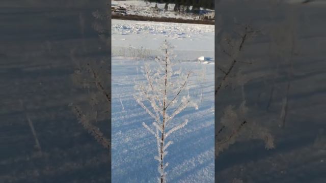 зима в Сибири смотреть онлайн