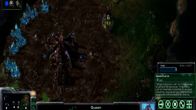 Starcraft 2 beta - queen rush смотреть онлайн