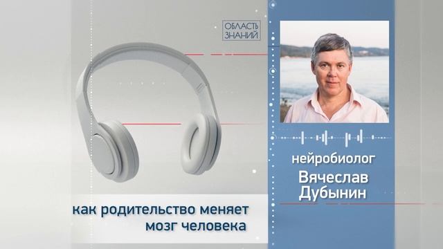 Как родительство меняет мозг человека? Лекция нейробиолога Вячеслава Дубынина смотреть онлайн