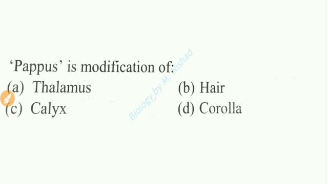 Plant Taxonomy | Practice set |TGT PGT Biology | GIC NEET Biology | B Sc second year | смотреть онлайн