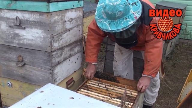 Сборка карники в зиму. смотреть онлайн