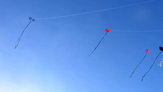 Barriletes Alto Vuelo Los Bichitos смотреть онлайн
