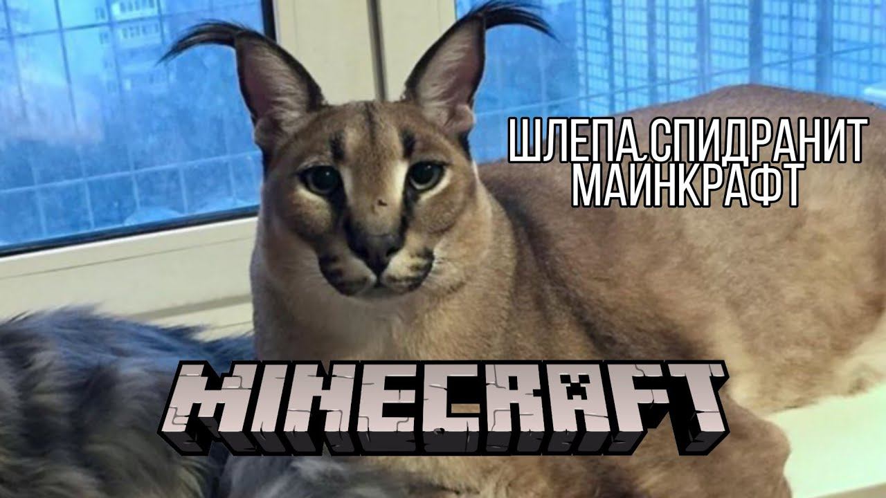 Шлепа спидранит майнкрафт смотреть онлайн