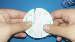 Как сделать сюрприз ЛОЛ из бумаги? Легко и просто!