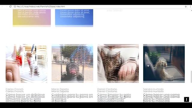 Curso de desarrollo profesional de páginas web en Laravel por $10,99 смотреть онлайн